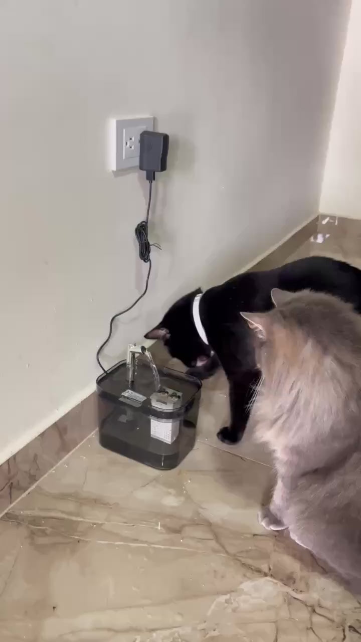 Fuente de agua automática silenciosa para gatos